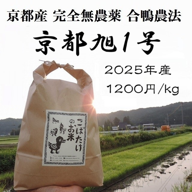 2025年産　完全無農薬『京都旭１号』合鴨農法