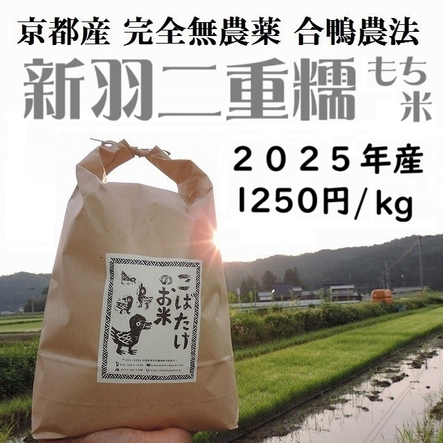 完全無農薬『新羽二重糯』(もち米)