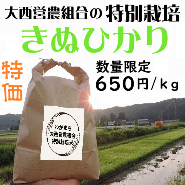 2025年産　わがまち大西の営農組合のお米【減農薬栽培米】1kg