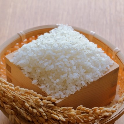 2025年産【新米】わがまち大西の営農組合のお米【減農薬栽培米】1kg