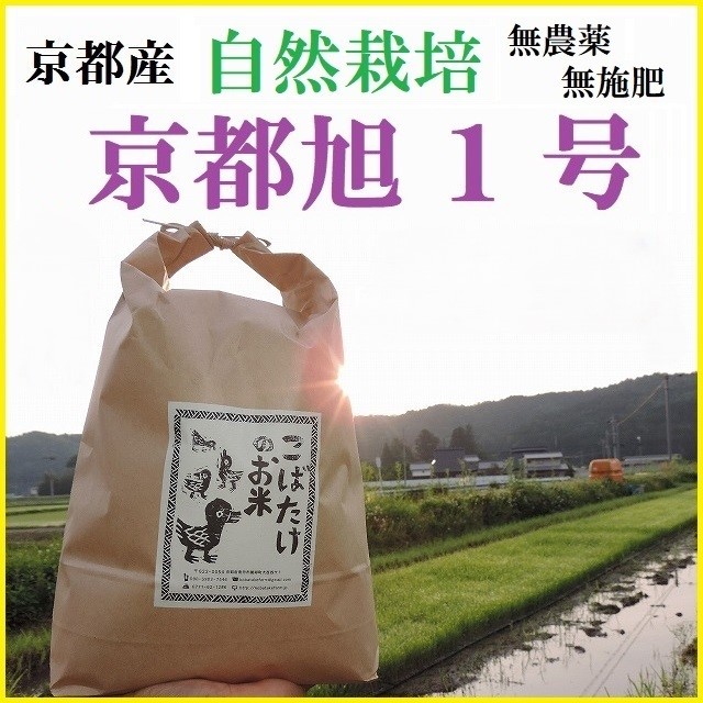 自然栽培『京都旭1号』無農薬・無施肥 1kg