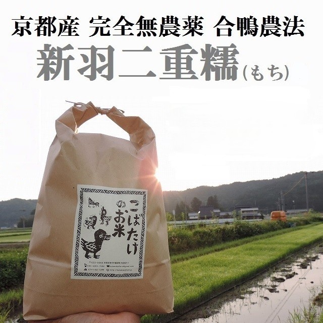 完全無農薬『新羽二重糯』(もち米)