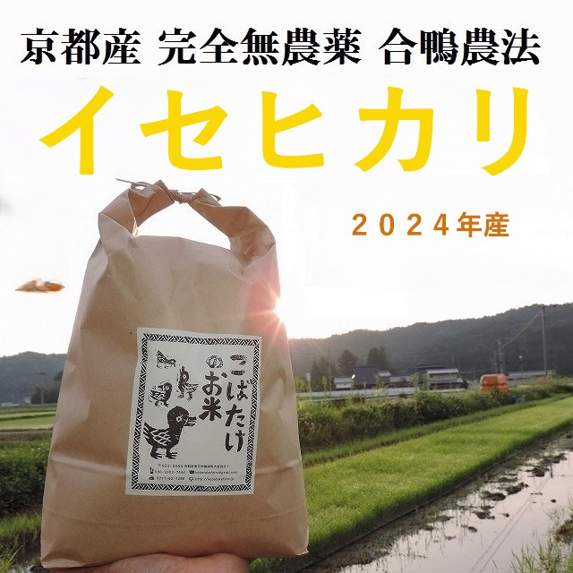 2024年産　完全無農薬『イセヒカリ』合鴨農法