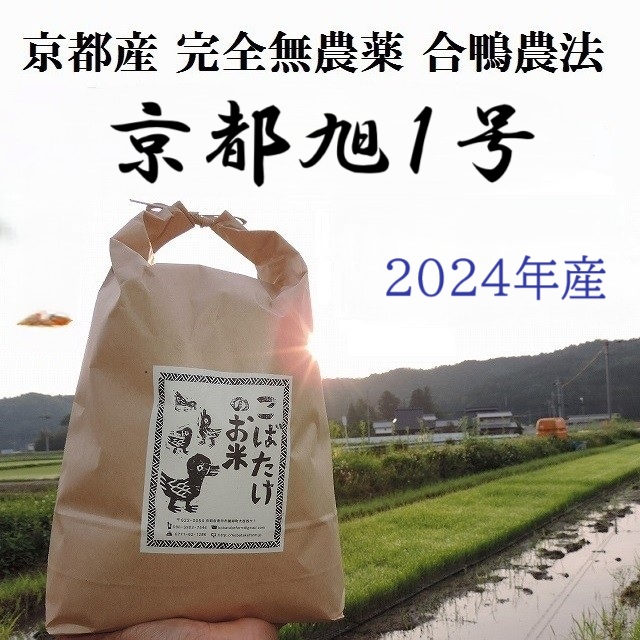 2024年産　完全無農薬『京都旭１号』合鴨農法
