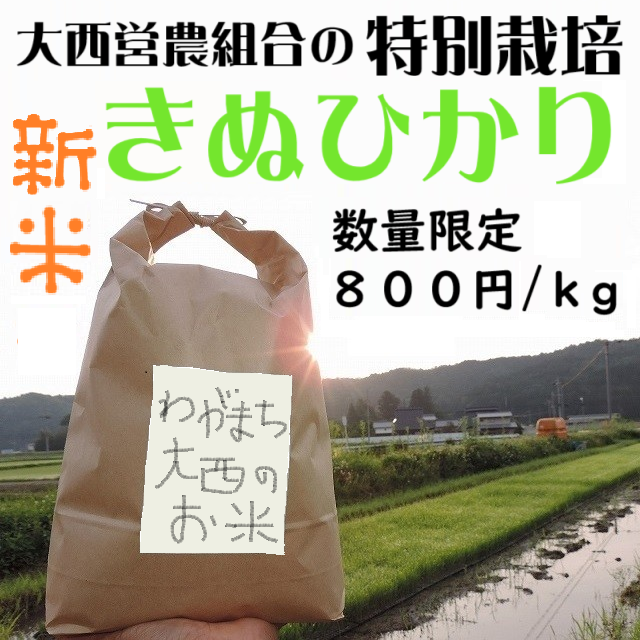 2025年産【新米】わがまち大西の営農組合のお米【減農薬栽培米】1kg