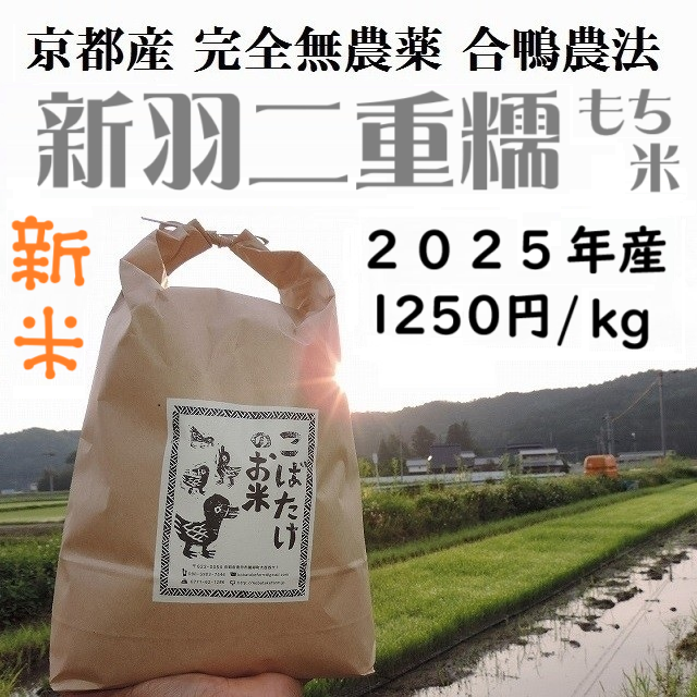 完全無農薬『新羽二重糯』(もち米)