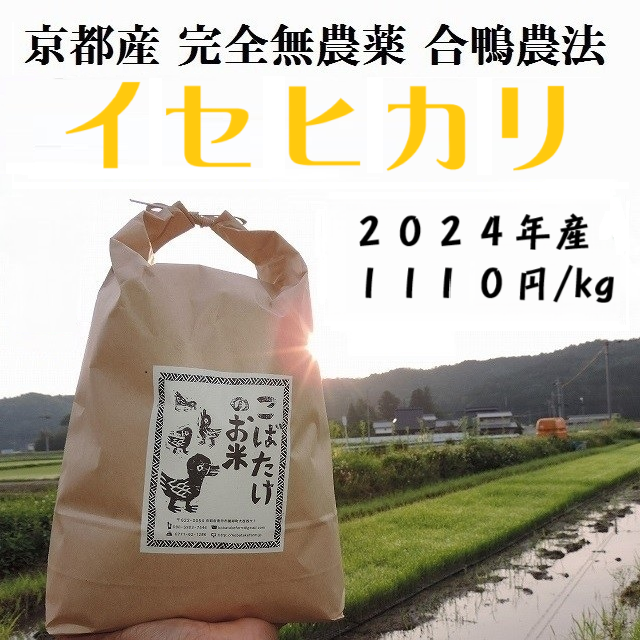 2024年産　完全無農薬『イセヒカリ』合鴨農法