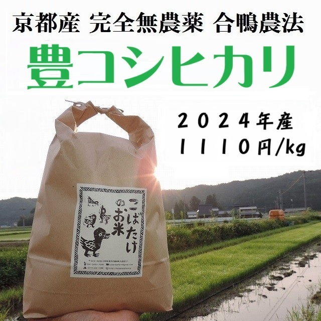 2024年産　完全無農薬『豊コシヒカリ』合鴨農法